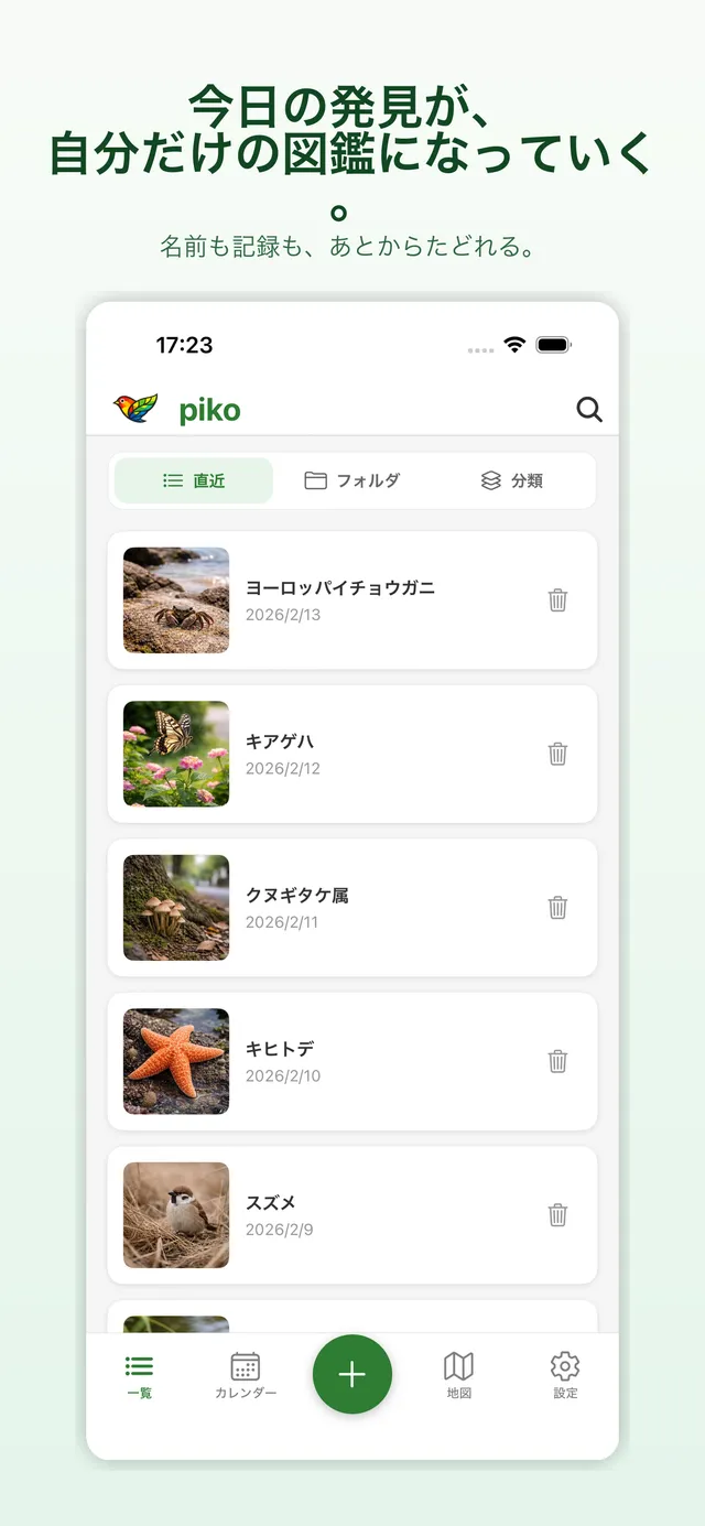 Cover image of piko